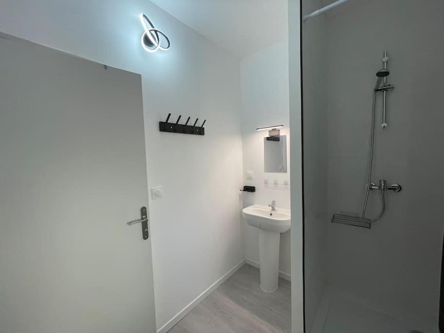 Studio A2 18M2 Cosy 5Minutes Gare Parking Gratuit Rue De La Mure Roanne Exteriör bild