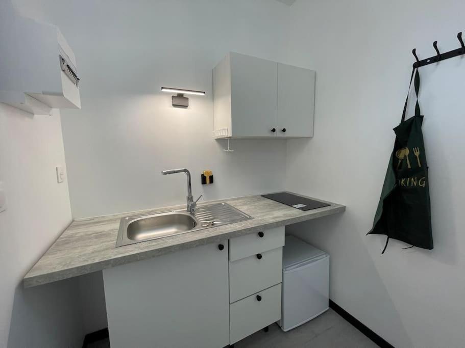 Studio A2 18M2 Cosy 5Minutes Gare Parking Gratuit Rue De La Mure Roanne Exteriör bild